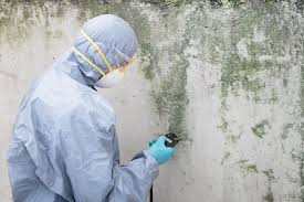 Best Emergency Mold Remediation in Xtonia, PA